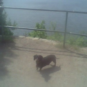 Simon's daily walk down at lake champlain