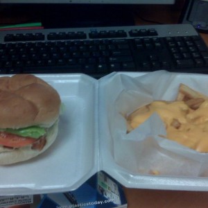 Fish sammich and cheese fries