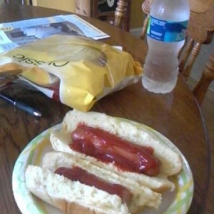 Lunch. hotdogs chips and a water