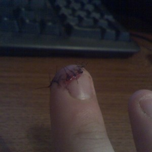 don't play with knives