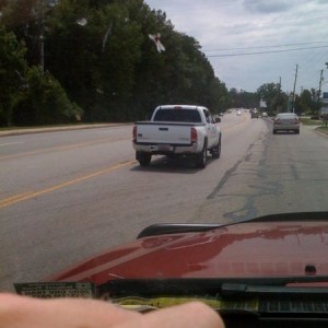 Dogs love tacomas