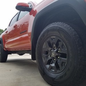 Wheel Vinyl 3
