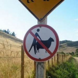 94_no_austrailians