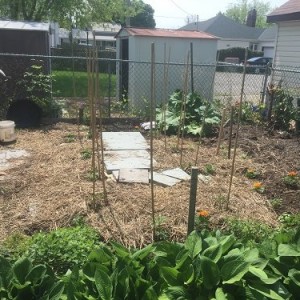 Veggie Garden 2018