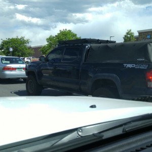 Spotted