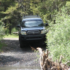 Rolling down the bank