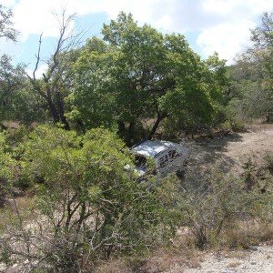 Texas Meet July 11th-12th