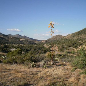 P7120083