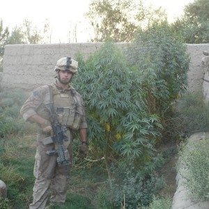Tropical afghanistan