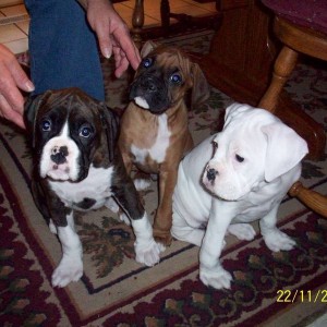 Picture_1611