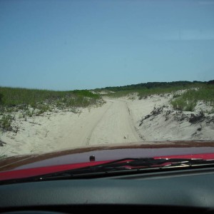 saw_119