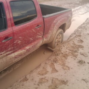 No Lift, Stockers=Failure