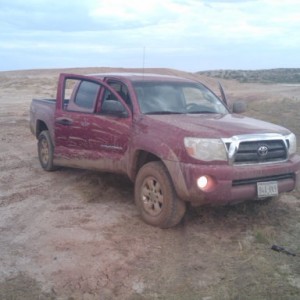 The taco