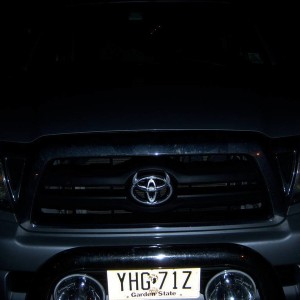 horns