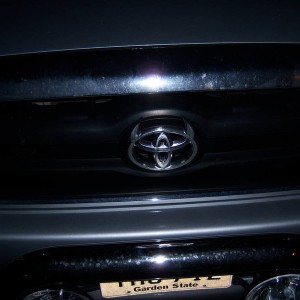 horns