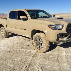 2016 Quicksand Tacoma