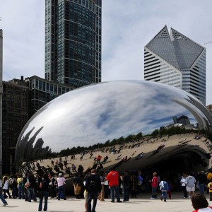 Bean