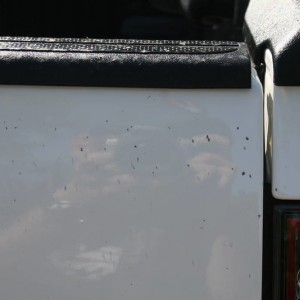 tailgate scratches