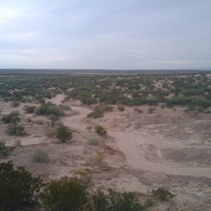 Dry river bed i came up