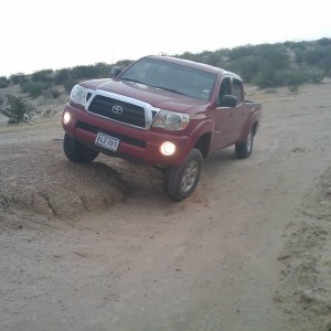 Flex
