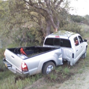 taco_tree3