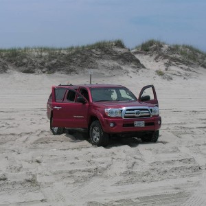 My Taco
