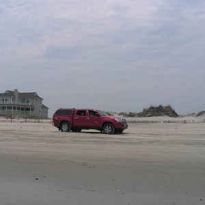 My Taco