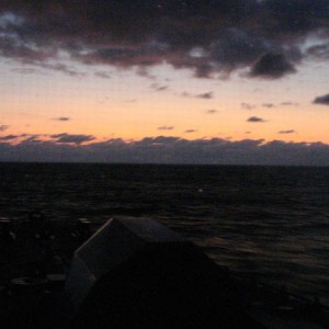 IMG_2803_1_