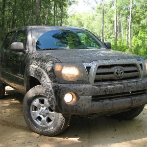 Muddy 09 Tacoma