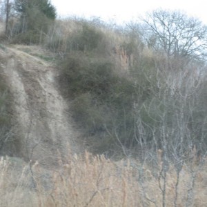 BVORR