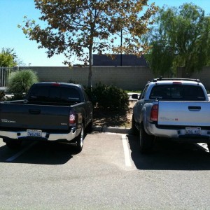 Spotted W8n4Mud in Santee