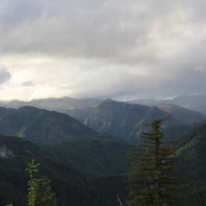 IMG_3481_resize
