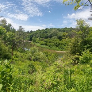 mettowee river 2