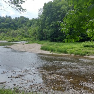 mettowee river