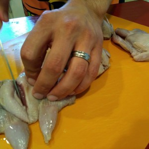 These are regular size chickens and I'm just a giant