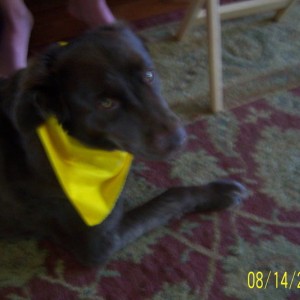 my dog rufus
