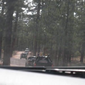 Big bear 2009