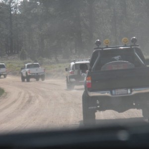 Big bear 2009