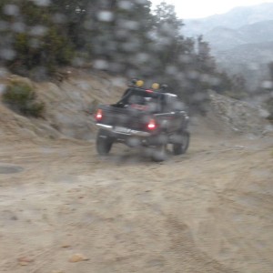 Big bear 2009