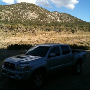 Big Bear Meadow