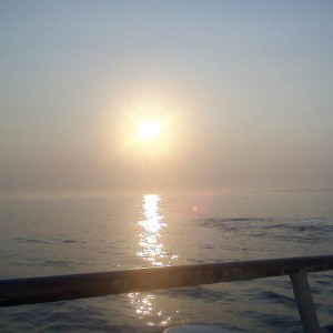 sunset on a dinner cruise in new jersey
