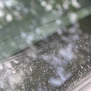 Cracked window.