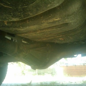 Poser RR Diff