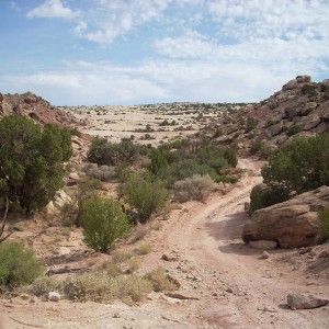 Klondike Bluff - Moab