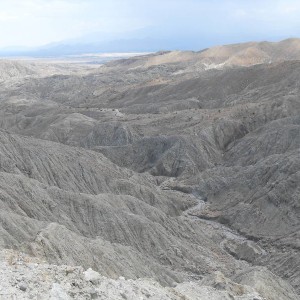 SDC10792