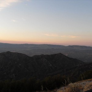 SDC10788