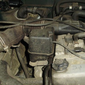 P9070279