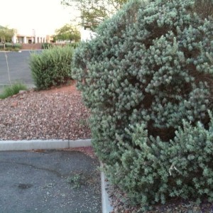 photo_1_
