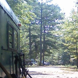 Horses, Truck, Trailer