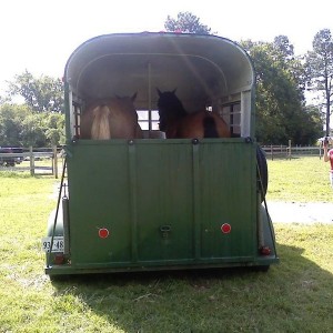Horses, Truck, Trailer